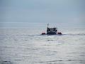 Bering Strait Crossing 195